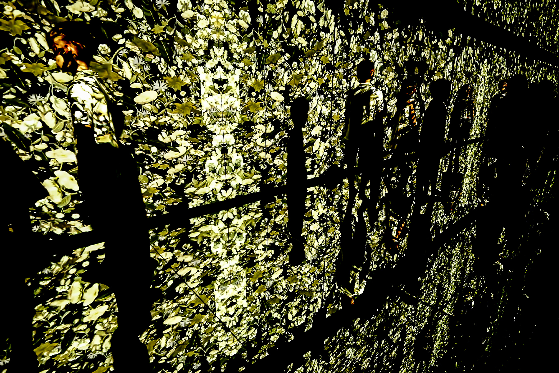 Infinity Mirror Room 5